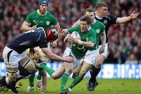 rugby irlanda
